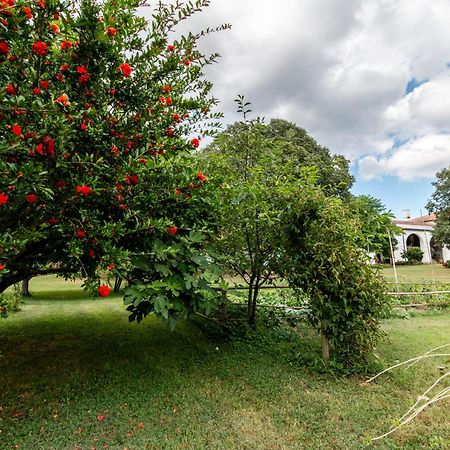 Agriturismo Monte Scala Taglio di Po Екстериор снимка