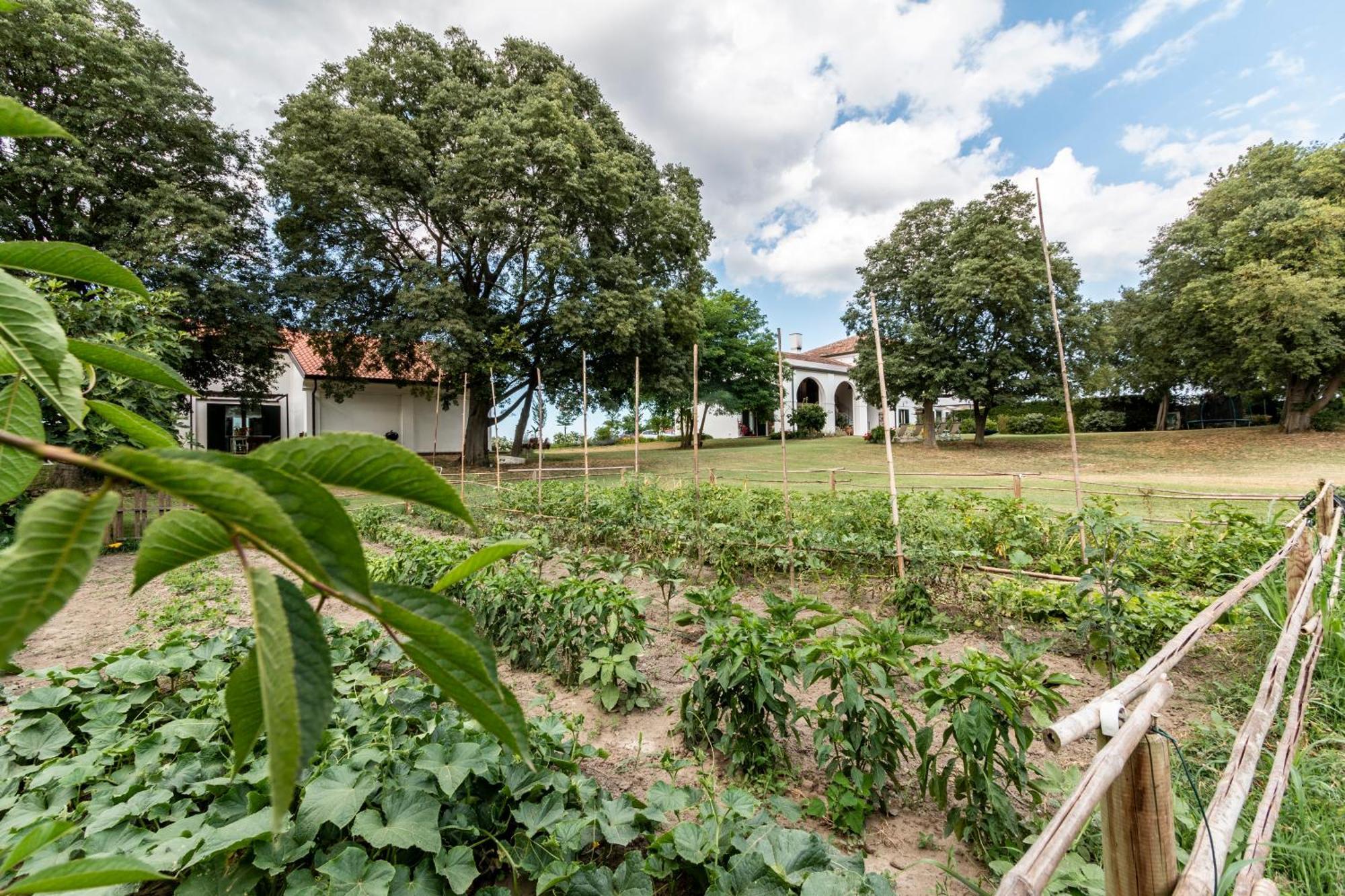 Agriturismo Monte Scala Taglio di Po Екстериор снимка