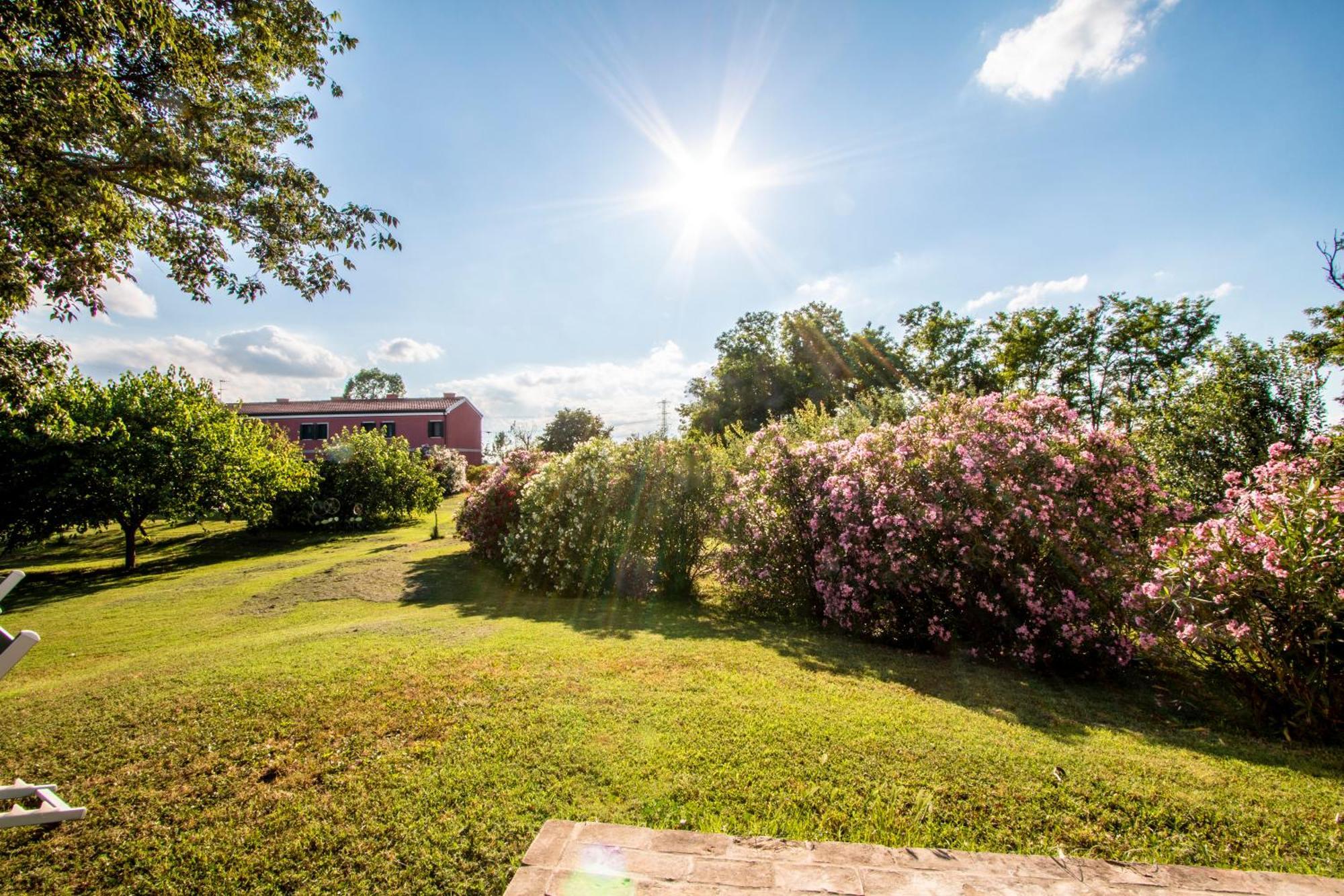 Agriturismo Monte Scala Taglio di Po Екстериор снимка